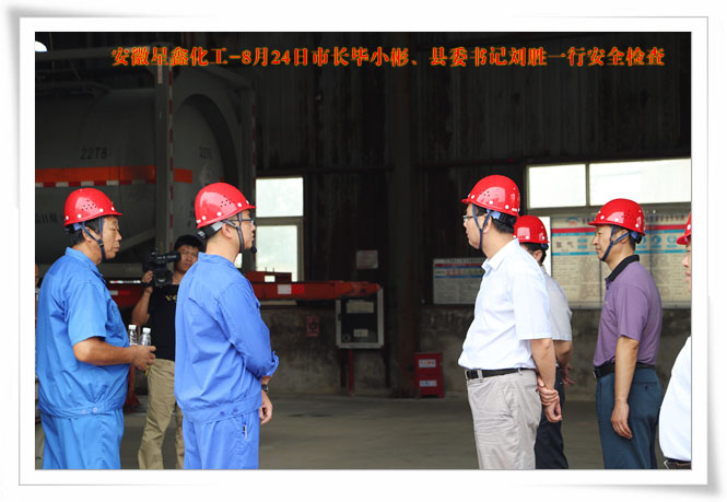 安徽星鑫化工科技有限公司-2015年8月24日，市长毕小彬莅临我公司检查指导安全生产工作