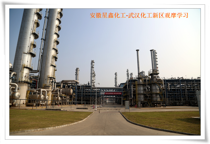 安徽星鑫化工科技有限公司-武汉化工新区80万吨/年乙烯项目参观学习
